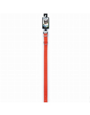 Neon Orange - DGR 3/4in Nylon Collar 20in Neon Org - 20in