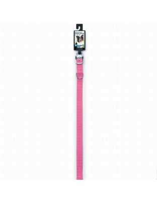 Neon Pink - DGR 3/4in Nylon Collar 20in Neon Pink - 20in