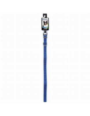 Blue - DGR 5/8in Nylon Collar 10in Blue - 10in