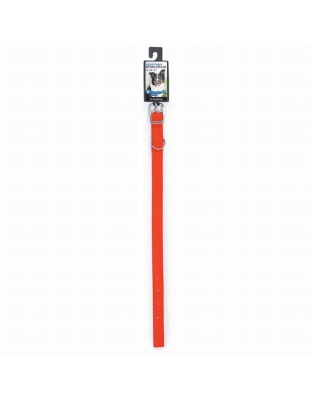 Neon Orange - DGR 5/8in Nylon Collar 12in Neon Org - 12in