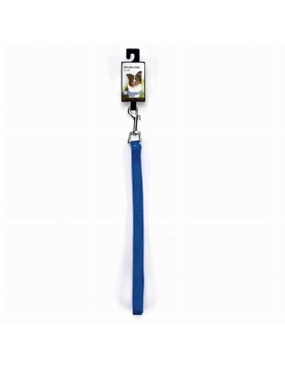 Blue - DGR 5/8in Nylon Lead 48in Blue - 48in