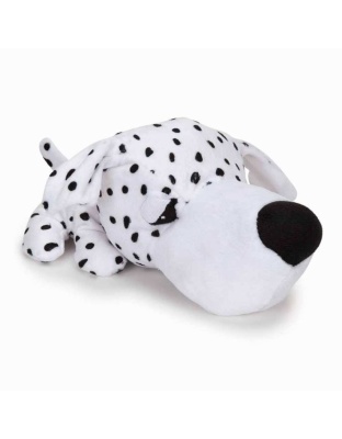 Dalmation - Digger's FatHedz Dalmation