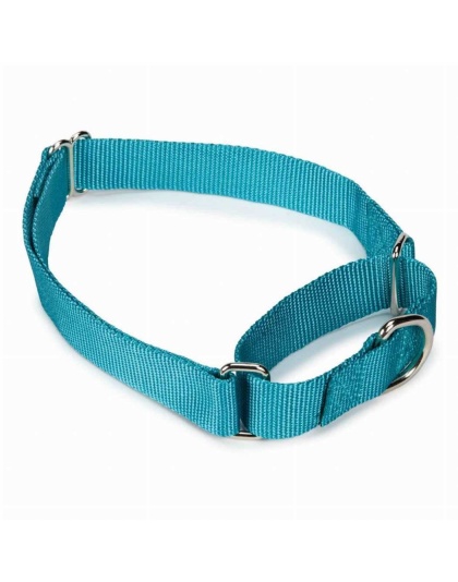 Light Blue - GG Nylon Martingale Collar 10-16In LtB - 10-16in