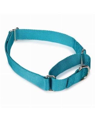 Light Blue - GG Nylon Martingale Collar 14-20In LtB - 14-20in
