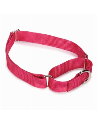 Pink - GG Nylon Martingale Collar 14-20In Pnk - 14-20in