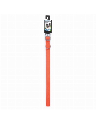 Orange - Diggers 1in Nylon Neon Collar 20in Org - 20in