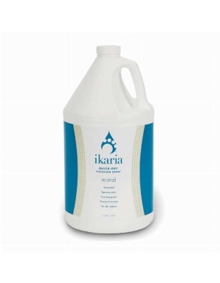 ikaria Quick Dry Finishing Spray Gal