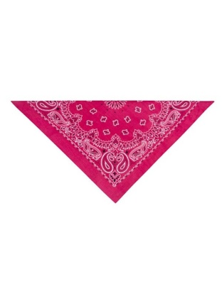 Pink - TP Paisley Bandana Pnk