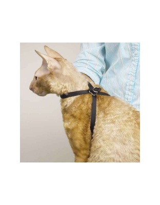 TP Adj Nylon Groom Cat Harness 40In