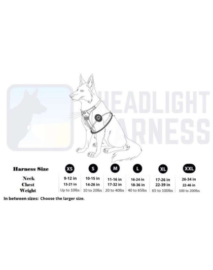 Blue - Headlight Harness, Dog Harness with Built In LED Light - Xlarge