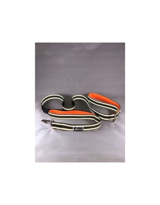 Orange - Headlight Harness Double Handle Reflective Leash - 6ft