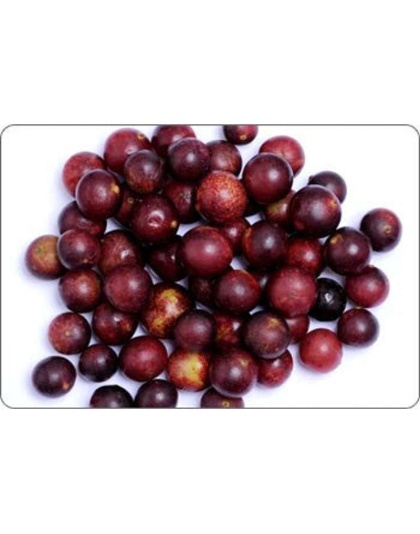 All Shins & Grins Capsules - Antioxidant Super Food Bone, Eye, Teeth & Skin Support Dog & Cat* - CAT/ 150 caps / 300 mg