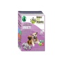 Anxiety Starter Pack For Dogs & Cats* - Dog Capsule / Size 1