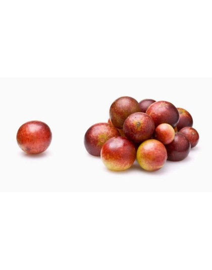 Camu Camu Extract Joint Teeth & Eye Support* The Petz Kitchen - Organic Human Grade Ingredients For Home Prepared Meals & Treats - 2 Oz