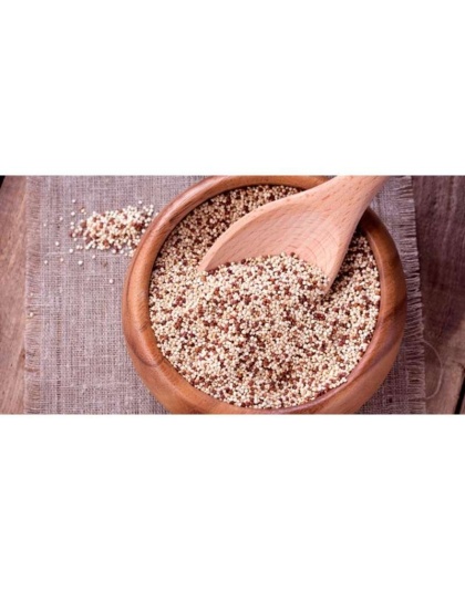 Canihua Flour - Organic Ancient Seed Grain - Complete Protein - Wheat & Gluten Free* The Petz Kitchen Dog & Cat Super Foods* - 8 Oz