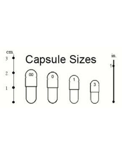 Endo Support Capsules For Dogs And Cats* Endocannabinoid System Support For Dogs & Cats* - 90 Capsules CAT / 250 mg. Capsules