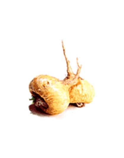 I Am A Rock Star - Memory, Gland (Hypothalamic, Pituitary And Adrenal) & Vitality Support* - DOG/ 150 caps / 500 mg
