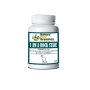 I Am A Rock Star - Memory, Gland (Hypothalamic, Pituitary And Adrenal) & Vitality Support* - CAT/ 250 caps / 250 mg