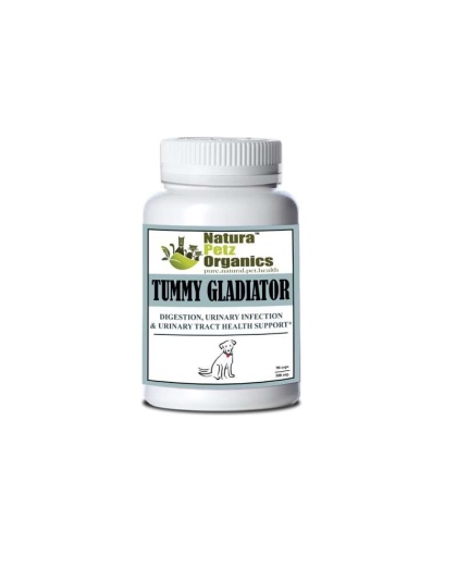 Tummy Gladiator - Digestion, Adjunctive Reflux & Urinary Tract Support* - Dog / 90 caps / 500 mg/Size 1