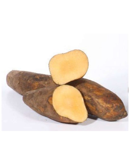 Yacon Leaf - Antioxidant Pancreatic Support* Glycemic & Glucose Support* The Petz Kitchen - Organic Human Grade Ingredients For Home Prepared Meals & Treats - 2 Oz