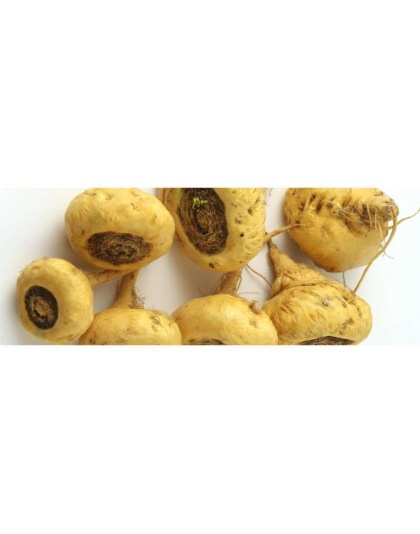 Yellow Maca* Complete Protein & Cognitive & Glandular Support* The Petz Kitchen Organic & Human Grade Ingredients For Home Prepared Meals & Treats* - 2 oz. / Shaker