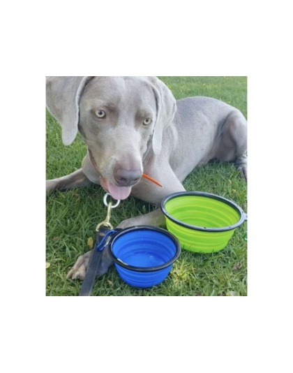 Collapsible Silicone Travel Bowls - XL 34oz (for Larger Pets)
