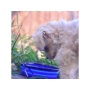 Single Blue Silicone Collapsible Travel Bowl - 12oz