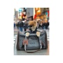 Charcoal Ash - Mr. Peanut's Gold Series Big Apple Size Expandable Pet Carrier -