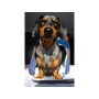 Deja Blue - Mr. Peanut's Gold Series Pet Carrier - 18 in L x 10.5 in W x 11 in H