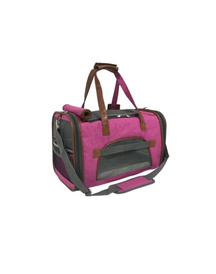 Rosa - Mr. Peanut's Gold Series Pet Carrier - 18 in L x 10.5 in W x 11 in H