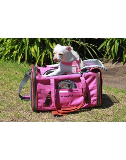 Rosa - Mr. Peanut's Gold Series Pet Carrier - 18 in L x 10.5 in W x 11 in H