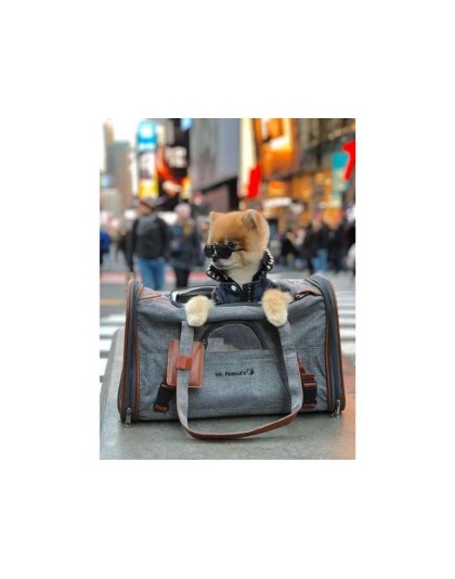 Charcoal Ash - Mr. Peanut's Gold Series Standard Size Expandable Pet Carrier - 18 in L x 10.5 in W x 11 in H