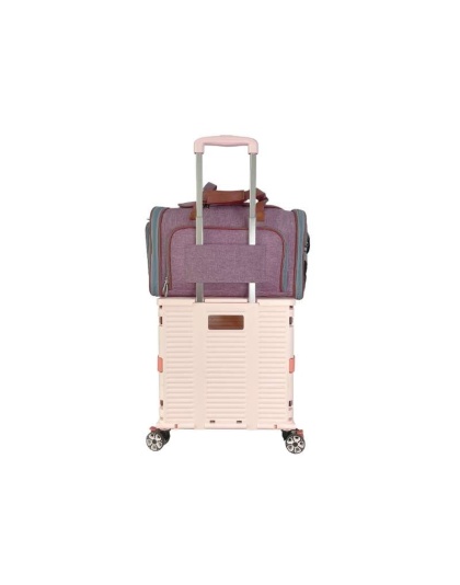 Purple - Mr. Peanut's Gold Series Standard Size Expandable Pet Carrier - 18 in L x 10.5 in W x 11 in H