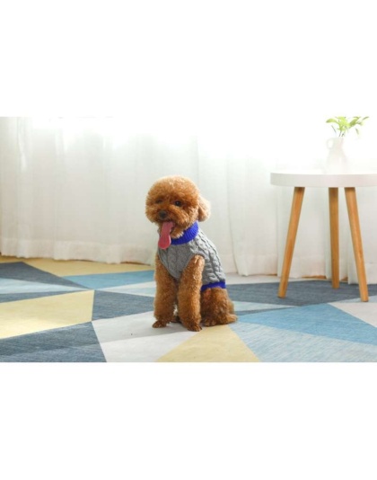 Gray With Regal Blue Fringe - Mr. Peanut's Knitted Acrylic Dog Sweaters - Small