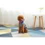 Gray With Regal Blue Fringe - Mr. Peanut's Knitted Acrylic Dog Sweaters - Medium