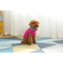 Royal Rosa With Gray Fringe - Mr. Peanut's Knitted Acrylic Dog Sweaters - XX Large