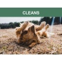 Mr. Peanut's Naturals 5 In 1 Pet Wash - Organic Dog Shampoo & Conditioner - Defense Against Dandruff, Allergies, & Itchy, Dry, Sensitive Skin -