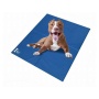 Mr. Peanut's Pet Chill Pad - Pressure Activated Cooling Non-Toxic Gel Pet Mat - Small 16X12 in