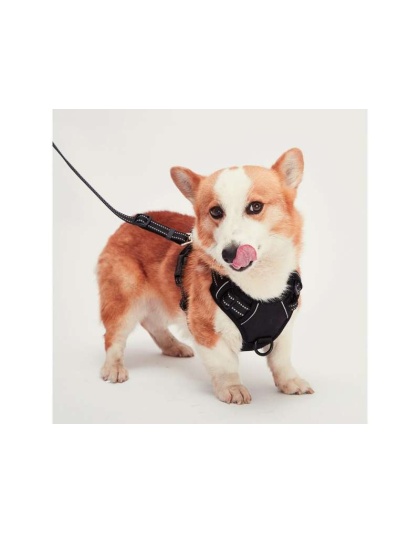 Black - Mr. Peanut's PetTrek Reflective Pet Harness With Matching Leash - XSmall