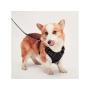 Black - Mr. Peanut's PetTrek Reflective Pet Harness With Matching Leash - XSmall