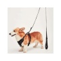 Black - Mr. Peanut's PetTrek Reflective Pet Harness With Matching Leash - XSmall
