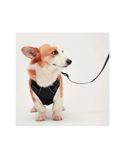 Black - Mr. Peanut's PetTrek Reflective Pet Harness With Matching Leash - XSmall