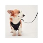 Black - Mr. Peanut's PetTrek Reflective Pet Harness With Matching Leash - XSmall