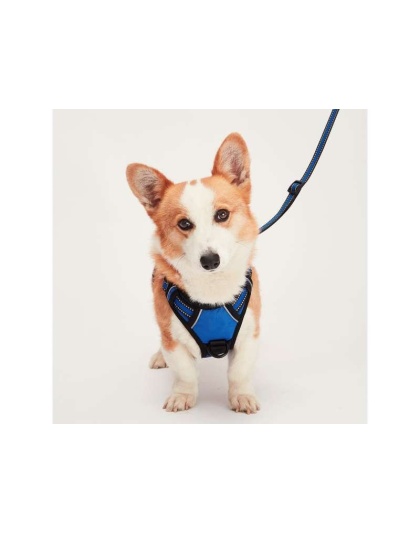 Blue - Mr. Peanut's PetTrek Reflective Pet Harness With Matching Leash - XSmall