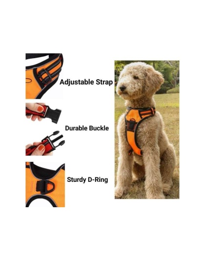 Orange - Mr. Peanut's PetTrek Reflective Pet Harness With Matching Leash - Small