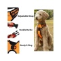 Orange - Mr. Peanut's PetTrek Reflective Pet Harness With Matching Leash - Small