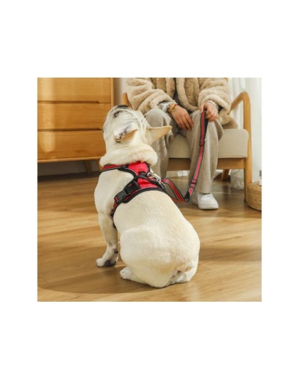 Red - Mr. Peanut's PetTrek Reflective Pet Harness With Matching Leash - XSmall