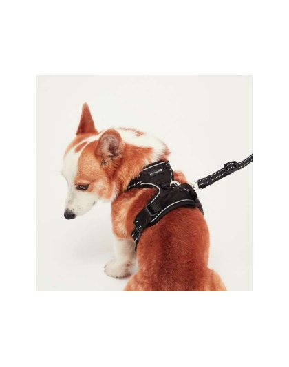 Black - Mr. Peanut's PetTrek Reflective Pet Harness With Matching Leash - Small