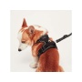 Black - Mr. Peanut's PetTrek Reflective Pet Harness With Matching Leash - Small