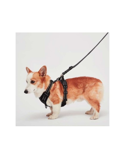 Black - Mr. Peanut's PetTrek Reflective Pet Harness With Matching Leash - Small